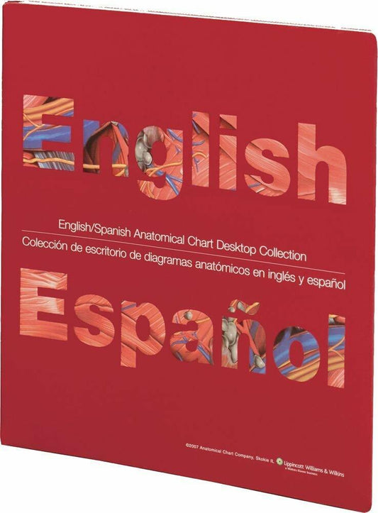 English/Spanish Anatomical Chart Desktop Collection (English and Spanish Edition)