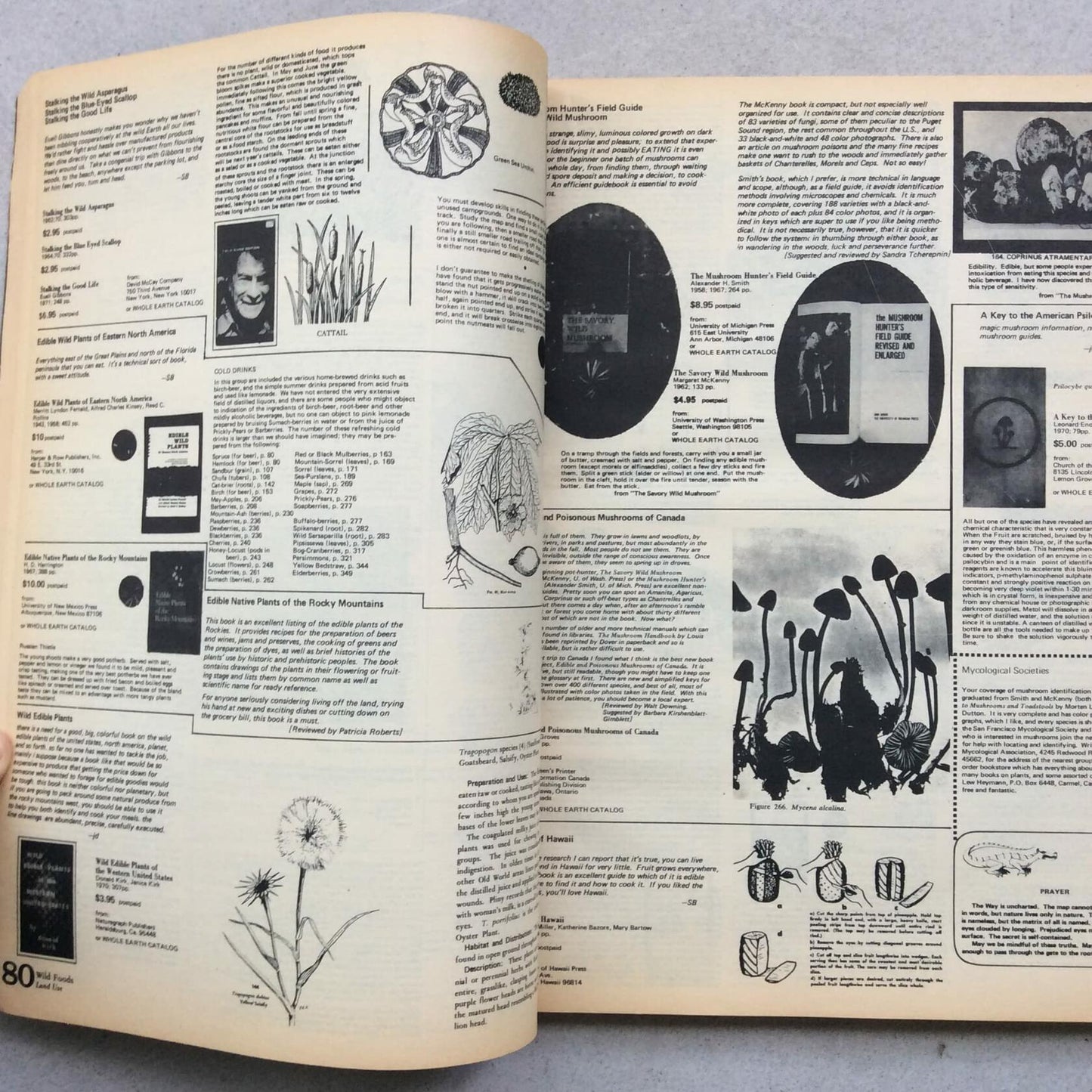 The Last Whole Earth Catalog: Access To Tools