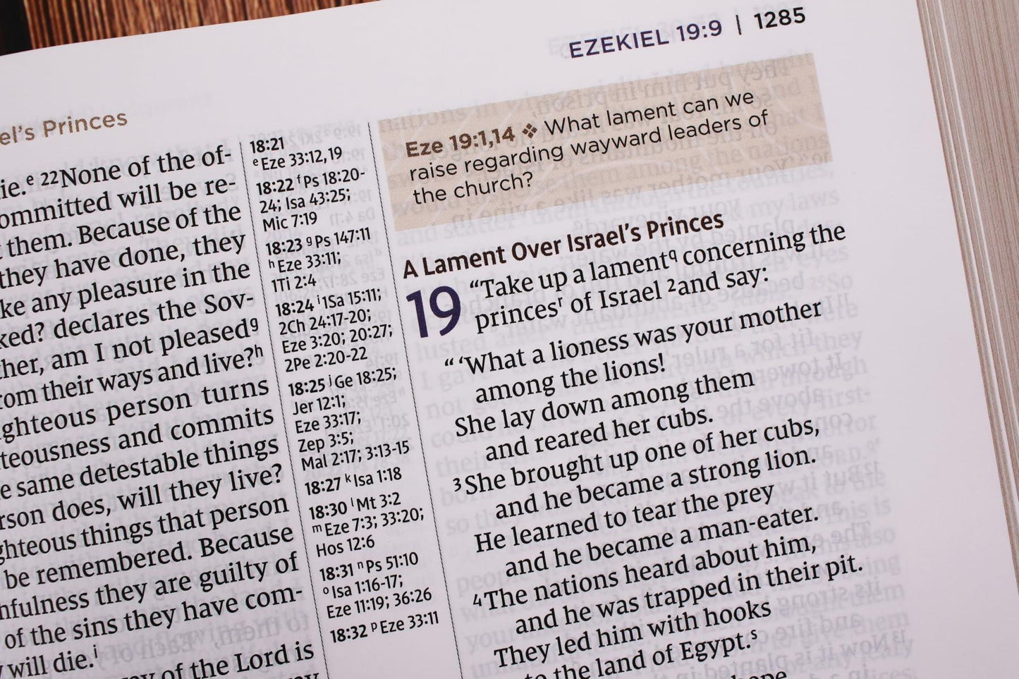 NIV Application Bible, Large Print, Leathersoft, Brown, Red Letter, Thumb Indexed, Comfort Print: Bringing the Ancient Message of the Bible into Your World (NIV Application Commentary Resources)