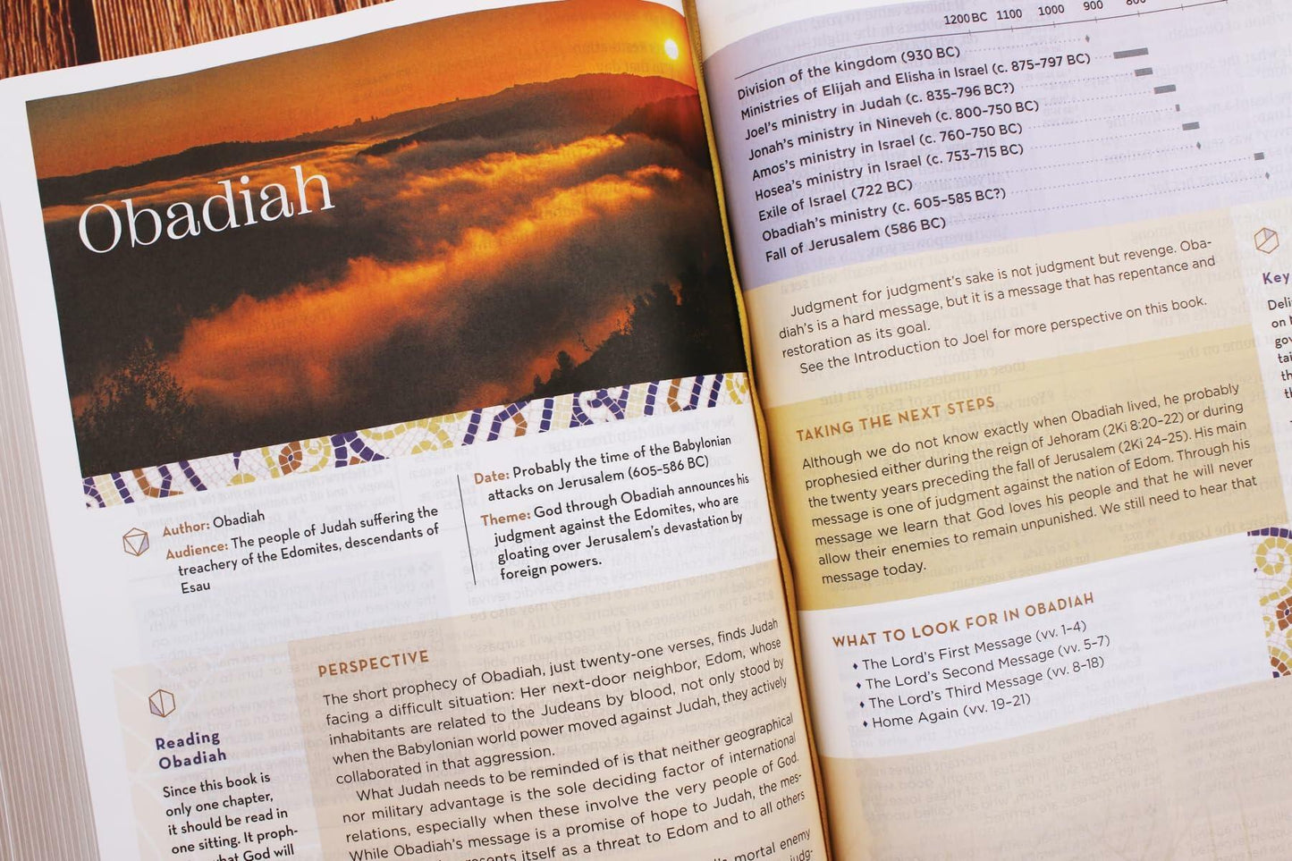 NIV Application Bible, Large Print, Leathersoft, Brown, Red Letter, Thumb Indexed, Comfort Print: Bringing the Ancient Message of the Bible into Your World (NIV Application Commentary Resources)