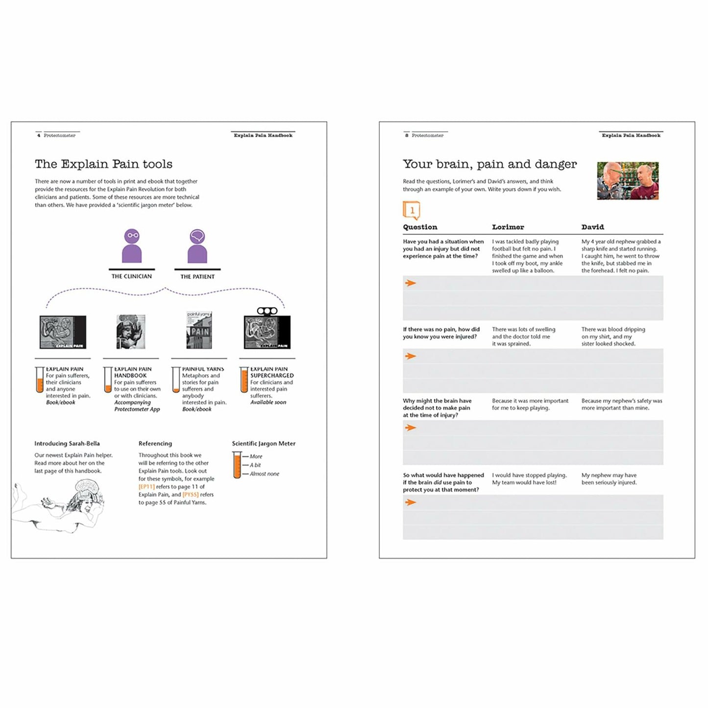 The Explain Pain Handbook: Protectometer