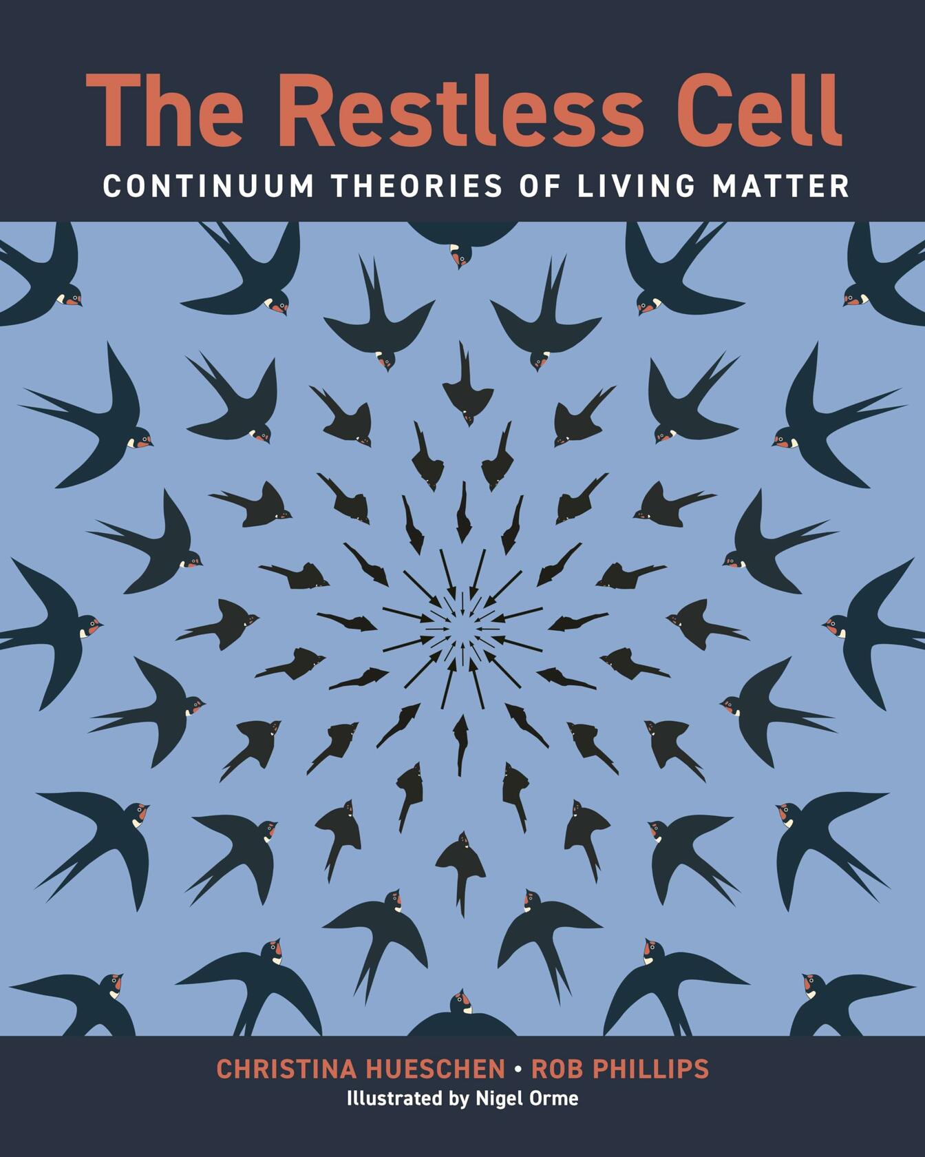 The Restless Cell: Continuum Theories of Living Matter