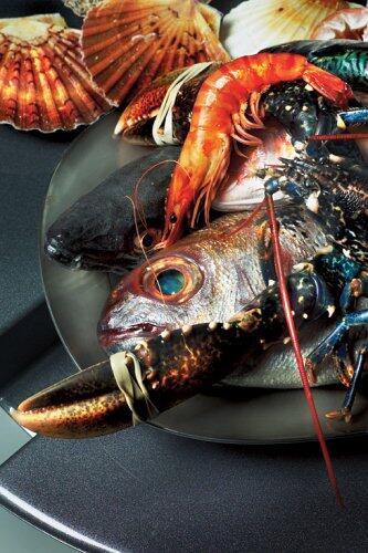 The Karl Lagerfeld Diet