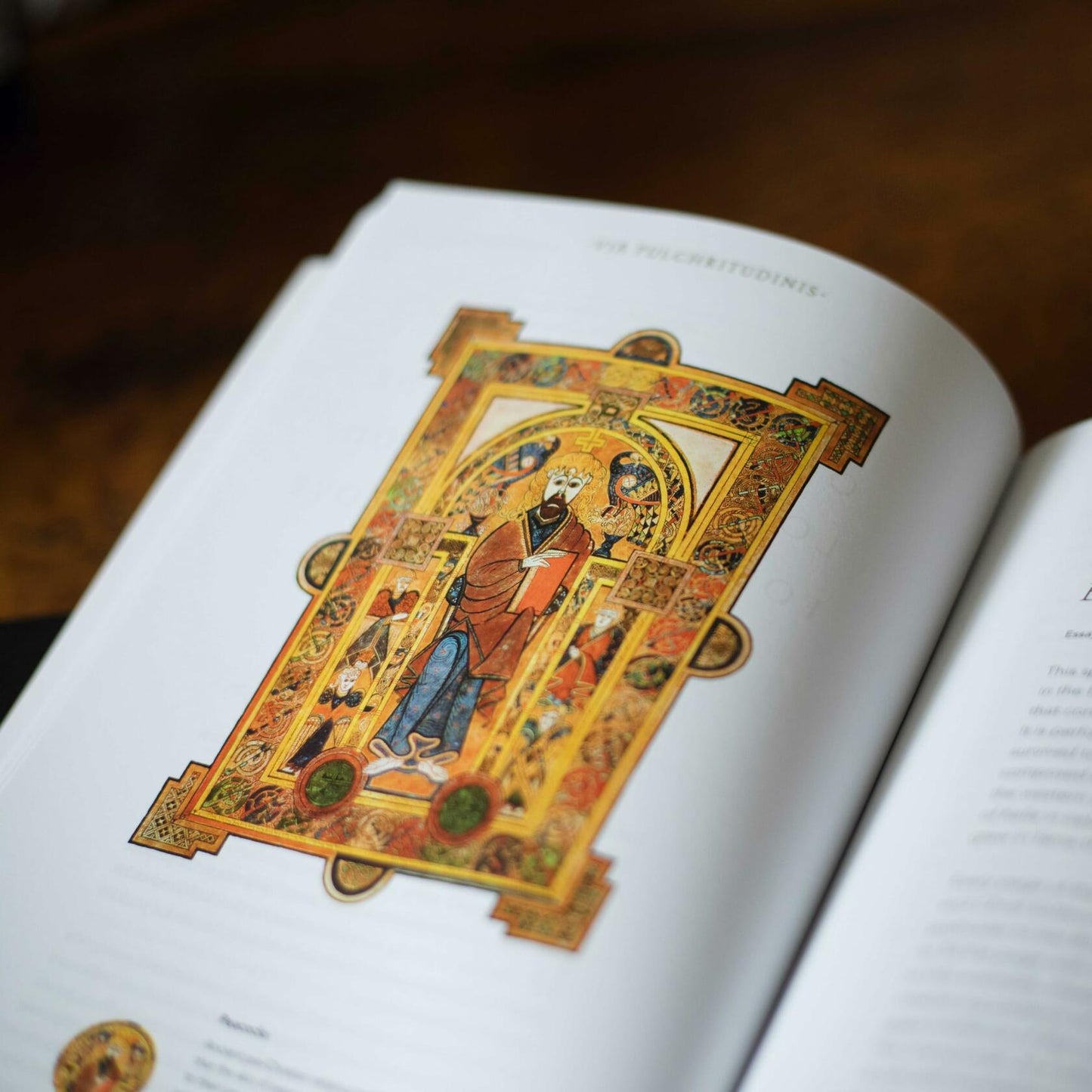 The Word on Fire Bible (Volume V): Exile and Return (Hardcover) (Word on Fire Bible Series)