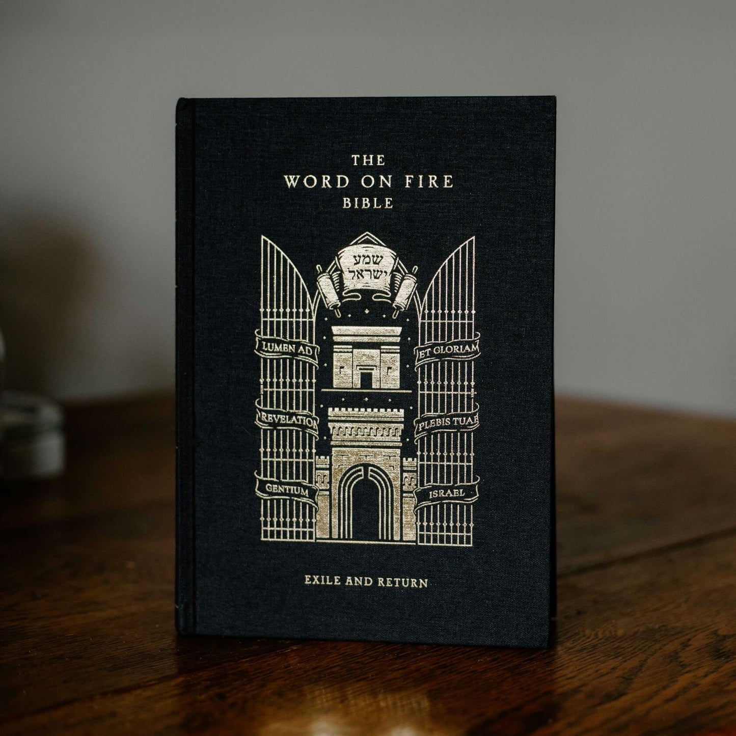 The Word on Fire Bible (Volume V): Exile and Return (Hardcover) (Word on Fire Bible Series)