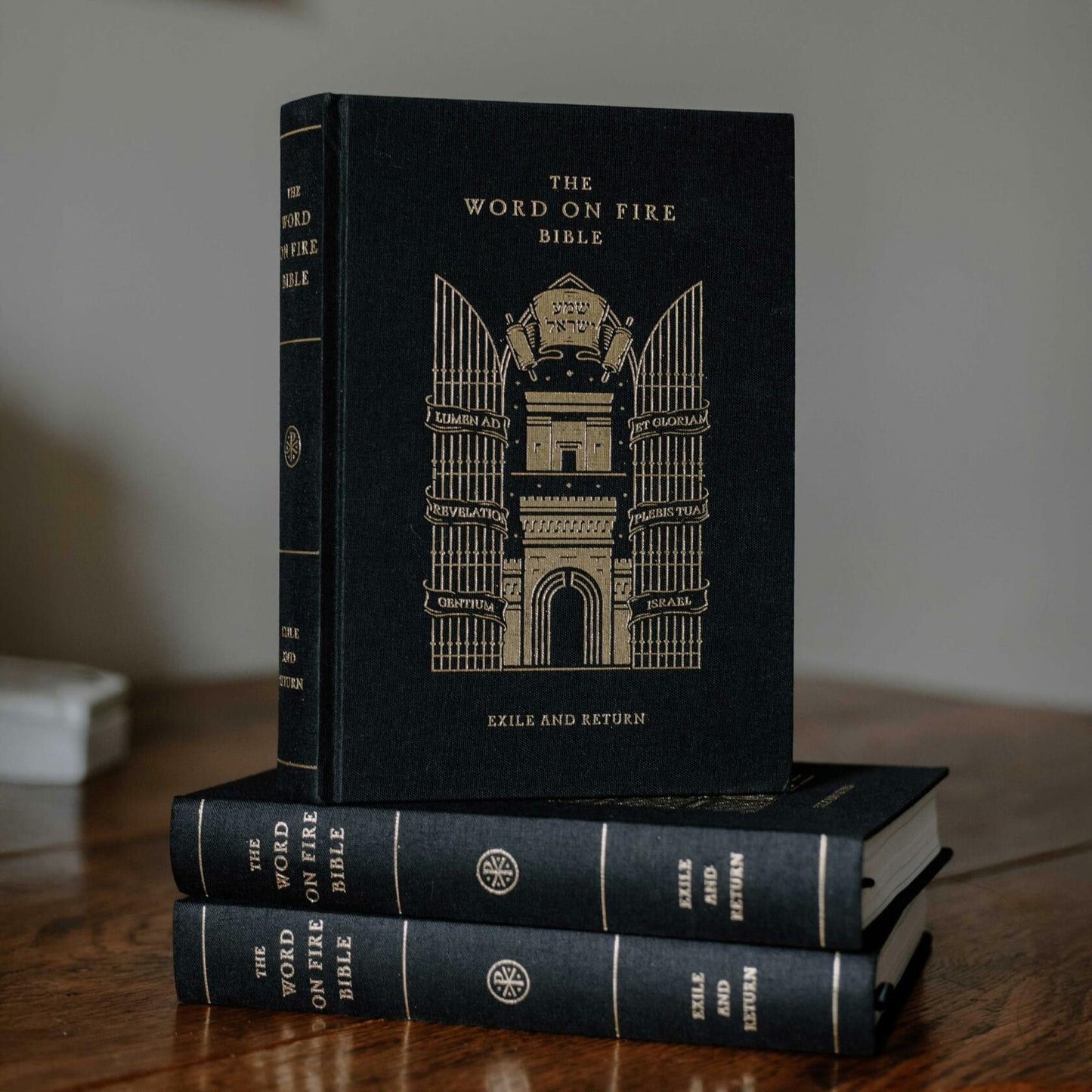 The Word on Fire Bible (Volume V): Exile and Return (Hardcover) (Word on Fire Bible Series)