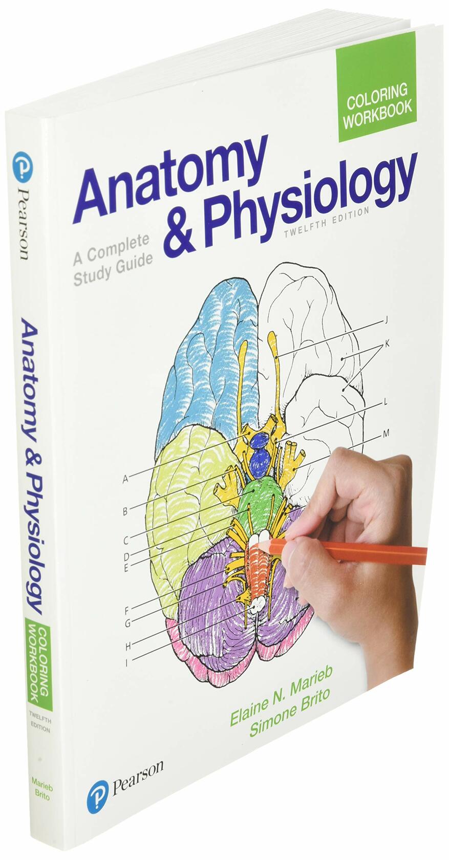 Anatomy and Physiology Coloring Workbook: A Complete Study Guide
