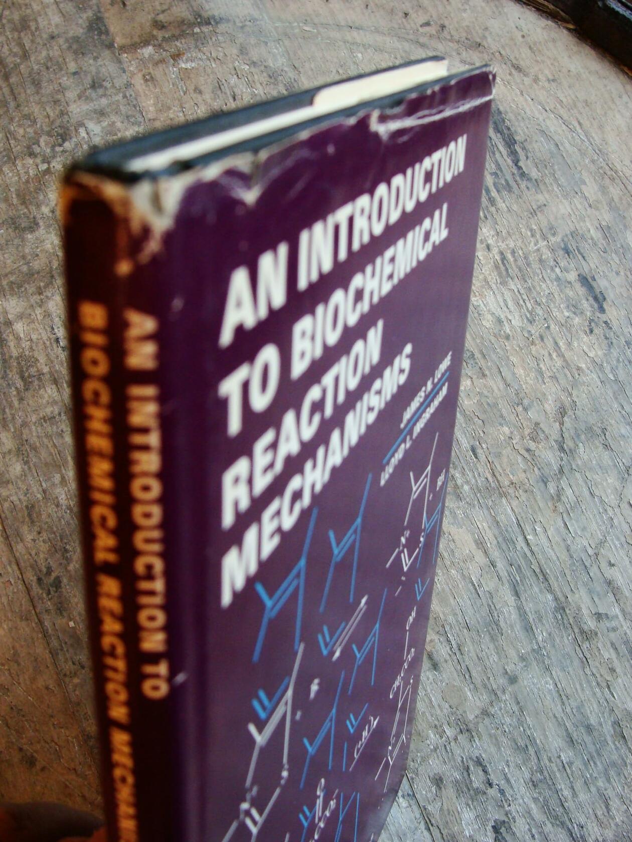 An introduction to biochemical reaction mechanisms (Foundations of modern biochemistry series)