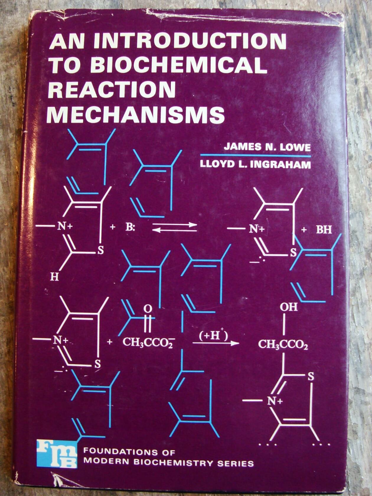 An introduction to biochemical reaction mechanisms (Foundations of modern biochemistry series)