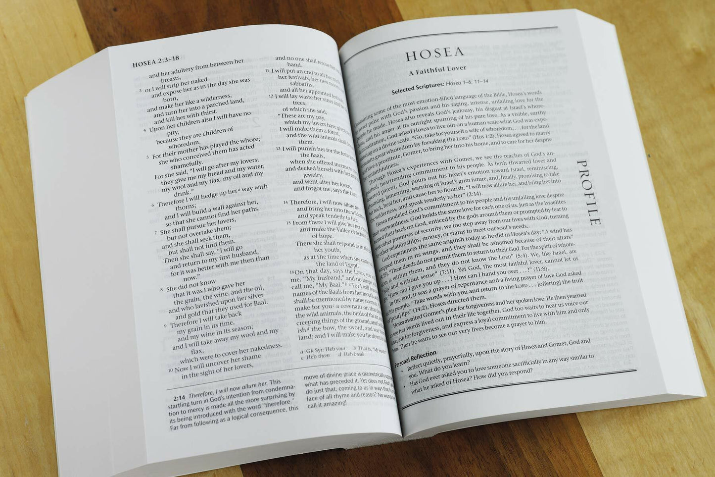 The Life with God Bible NRSV (Compact, Trade PB) (A Renovare Resource)