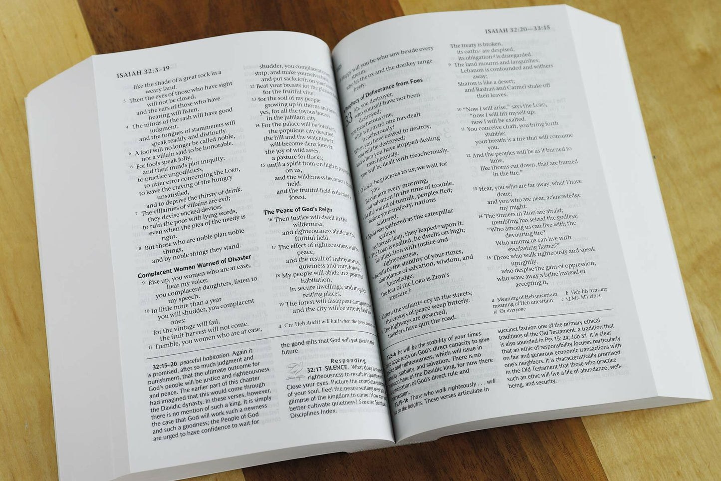 The Life with God Bible NRSV (Compact, Trade PB) (A Renovare Resource)