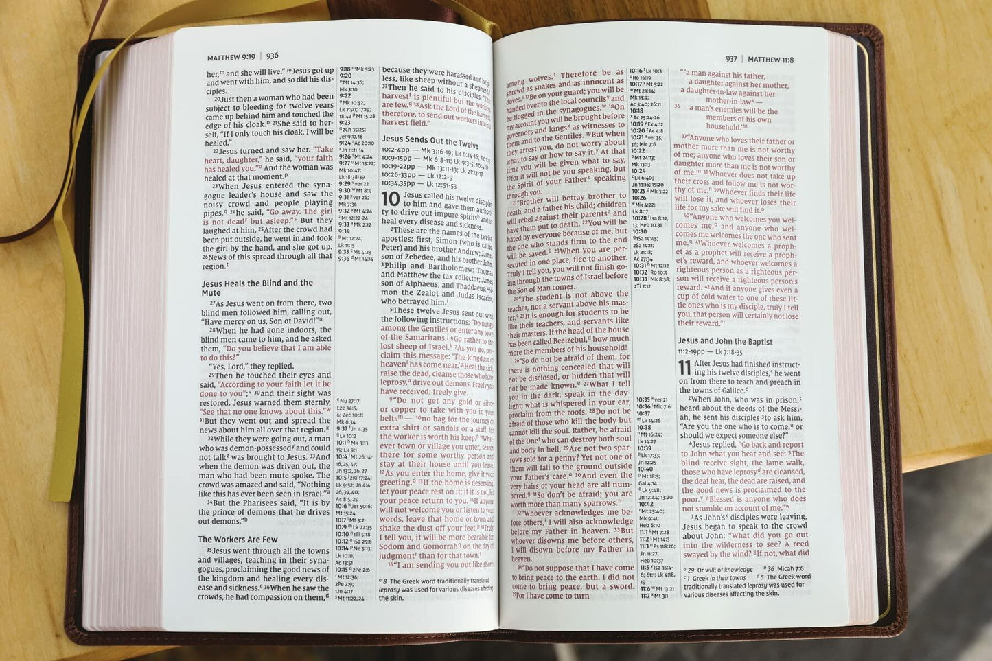 NIV, Thinline Reference Bible (Your Portable Reference Bible), Genuine Leather, Buffalo, Brown, Red Letter, Art Gilded Edges, Comfort Print
