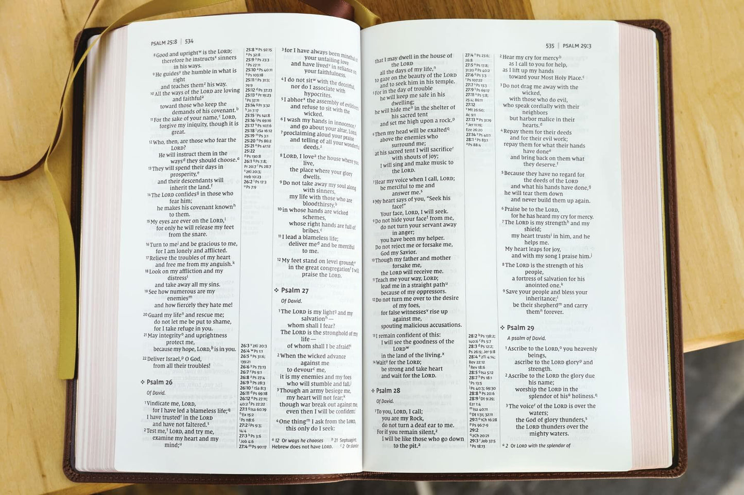 NIV, Thinline Reference Bible (Your Portable Reference Bible), Genuine Leather, Buffalo, Brown, Red Letter, Art Gilded Edges, Comfort Print