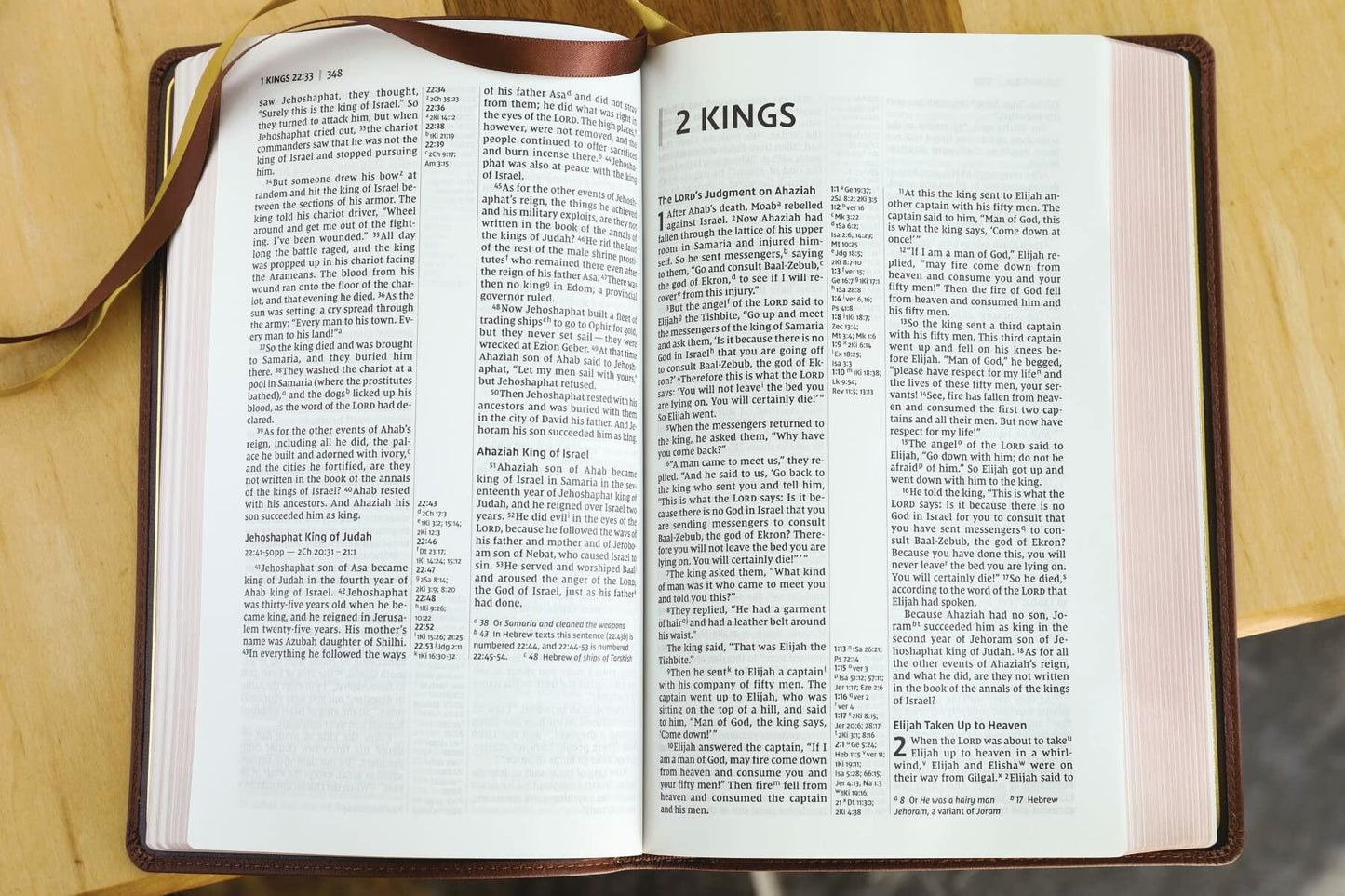 NIV, Thinline Reference Bible (Your Portable Reference Bible), Genuine Leather, Buffalo, Brown, Red Letter, Art Gilded Edges, Comfort Print
