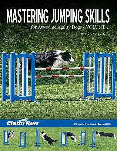 Mastering Jumping Skills
