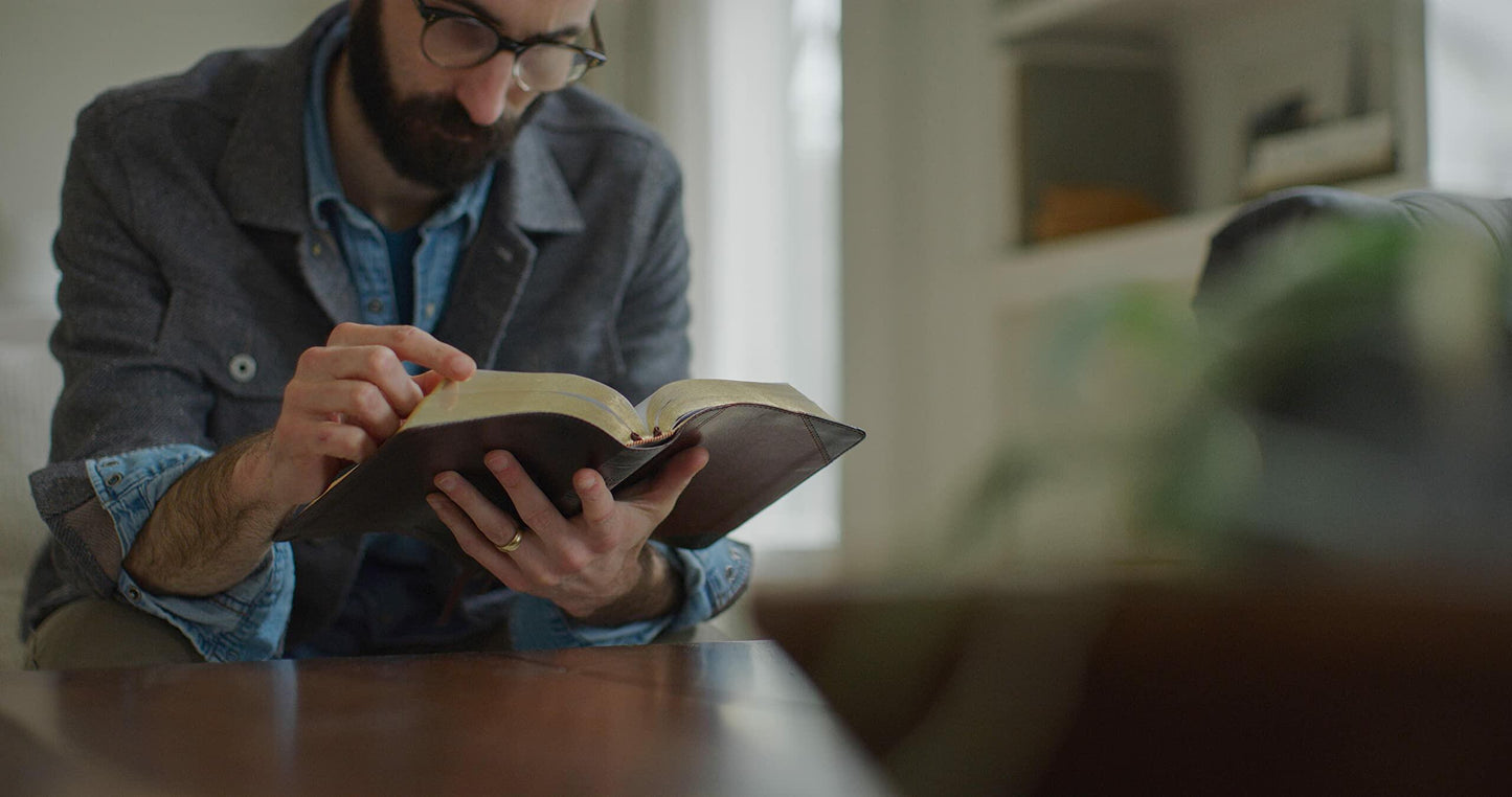 ESV Reader's Bible (TruTone, Brown/Cordovan, Portfolio Design)