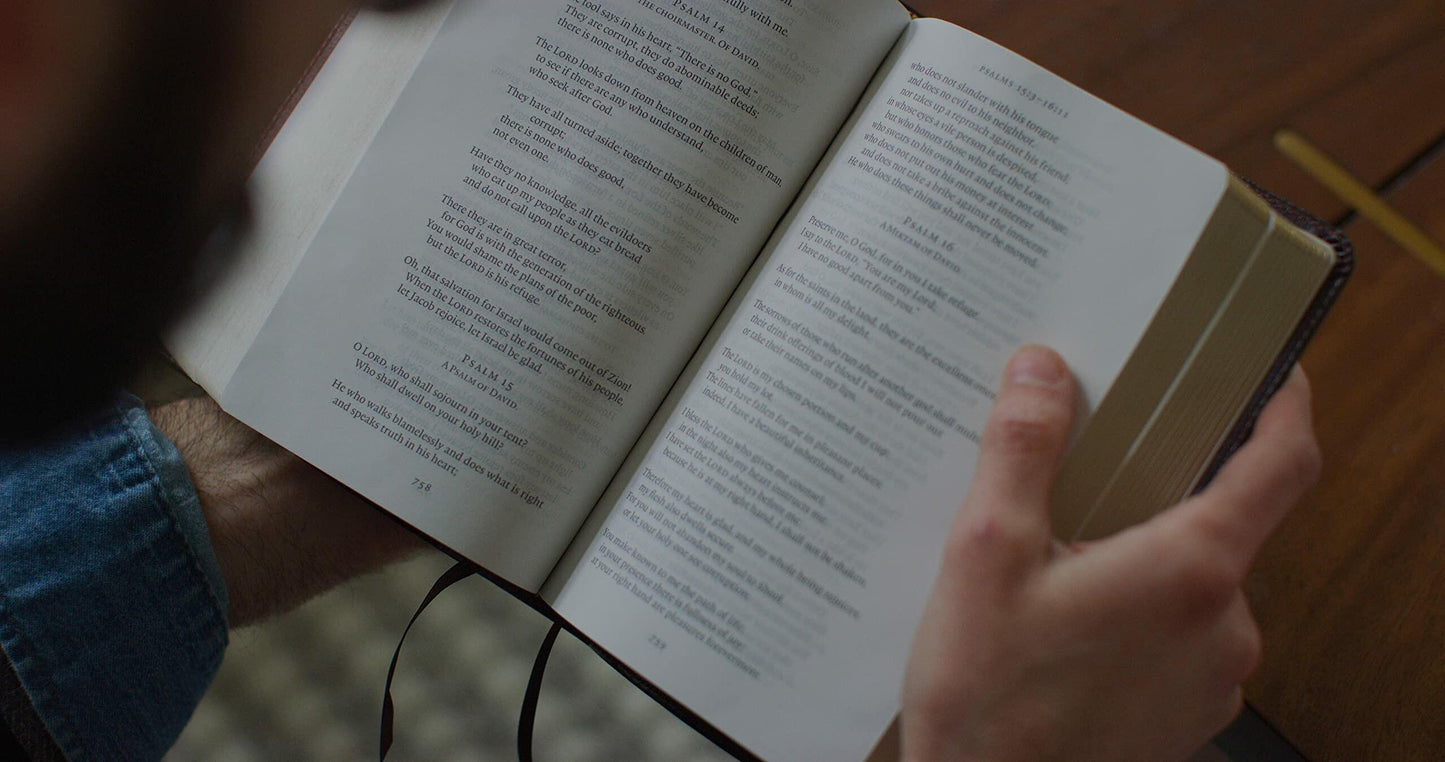 ESV Reader's Bible (TruTone, Brown/Cordovan, Portfolio Design)