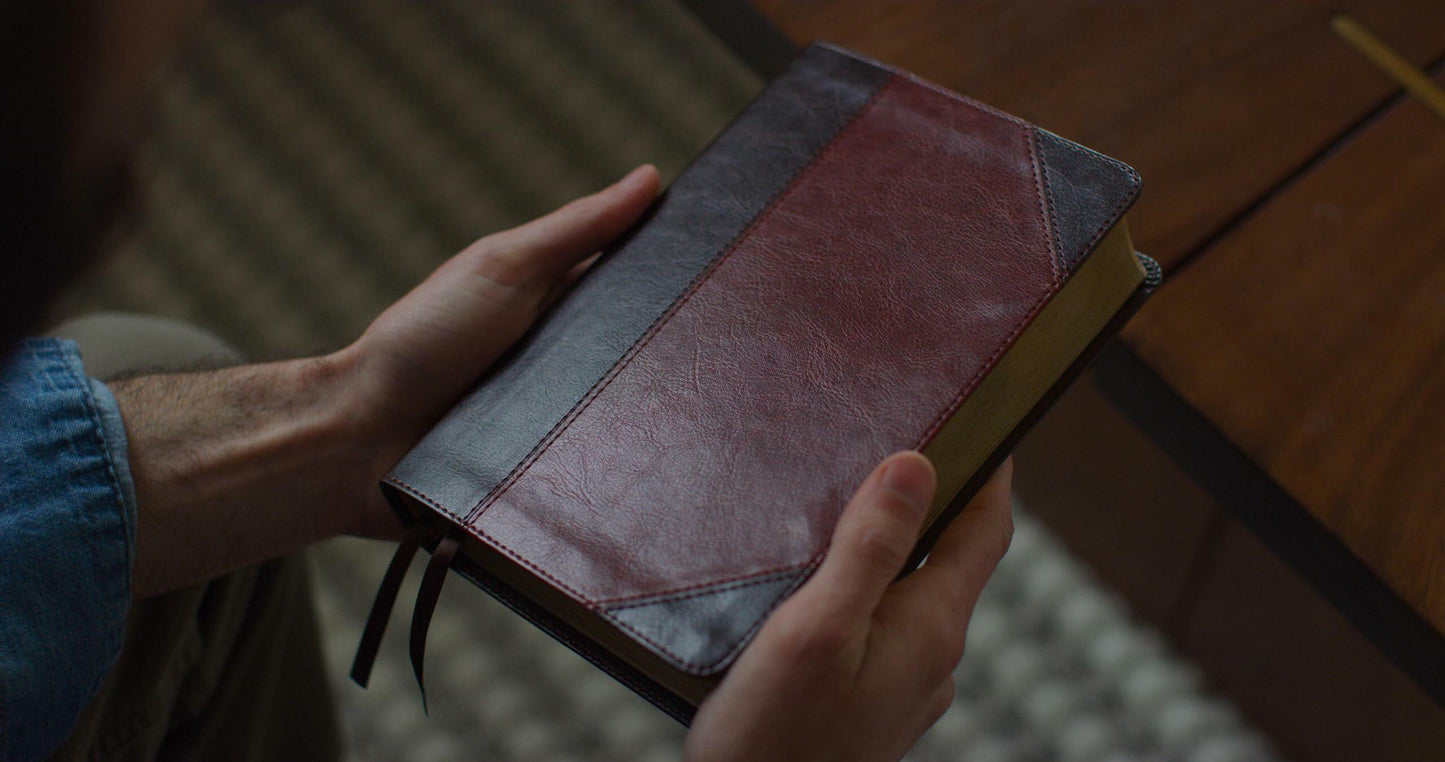 ESV Reader's Bible (TruTone, Brown/Cordovan, Portfolio Design)