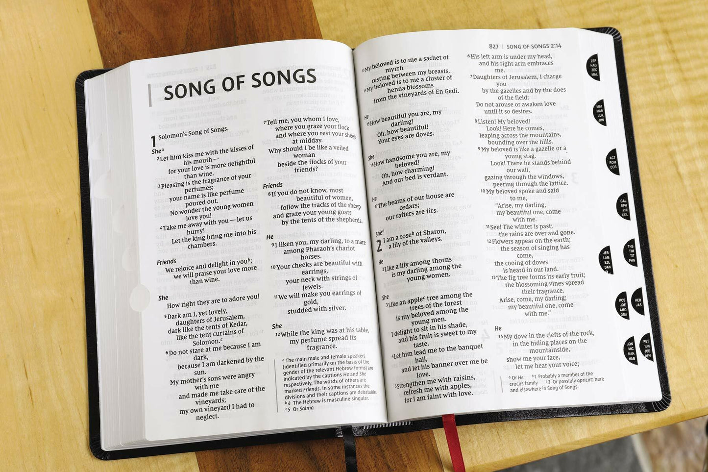 NIV, Thinline Bible, Giant Print, Bonded Leather, Black, Red Letter, Thumb Indexed, Comfort Print
