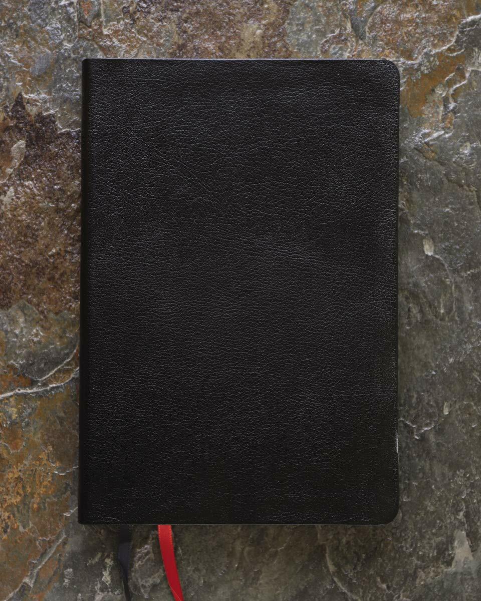 NIV, Thinline Bible, Giant Print, Bonded Leather, Black, Red Letter, Thumb Indexed, Comfort Print